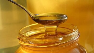 عسل النحل - اسعار عسل النحل فى مصر 2021 اجود انواع العسل واسعاره 2021 - اسعار عسل النحل اليوم