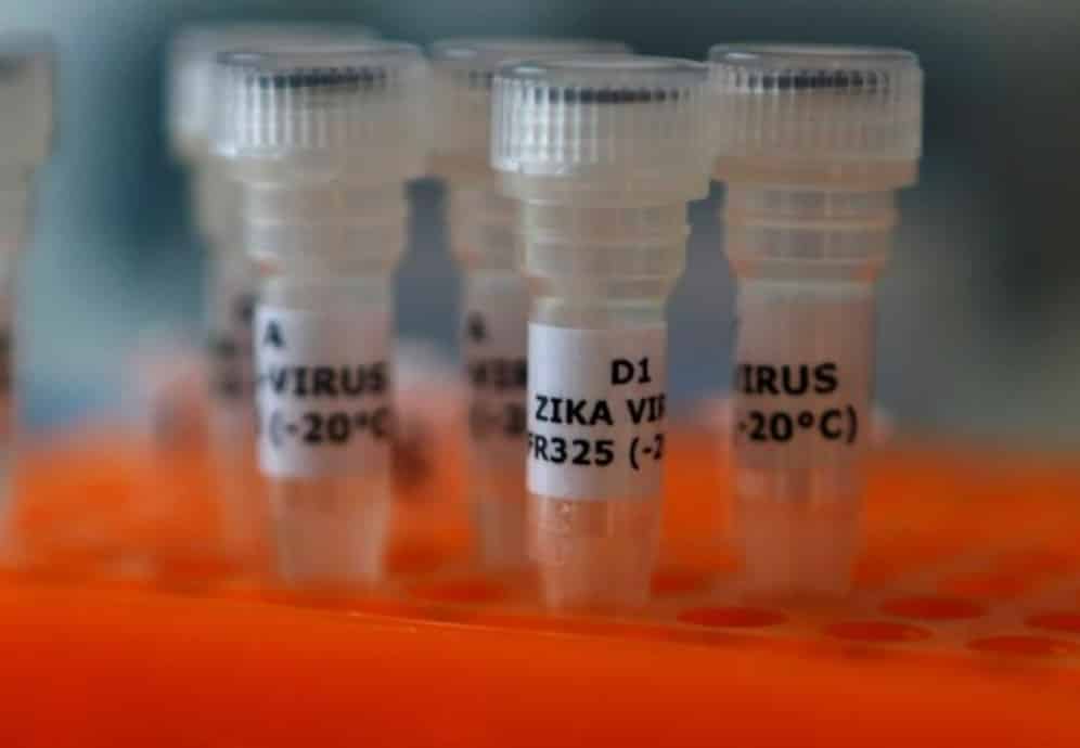 الهند: اكتشاف أول حالة إصابة بفيروس زيكا في ولاية ماهاراشترا في امرأة بوني - أخبار