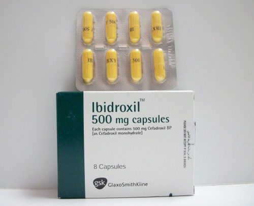 المضاد الحيوى ابيدروكسيل Ibidroxil لعلاج التهابات الجهاز التنفسى المزعجه