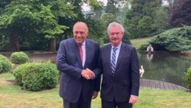 سامح شكري يلتقي وزير خارجية لوكسمبورج لتعزيز العلاقات الثنائية