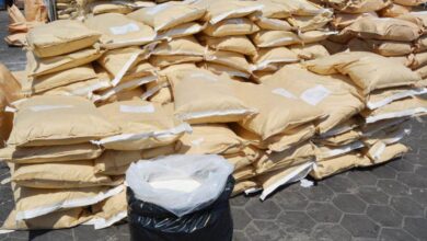 إحباط تهريب 15 طن مواد تستخدم فى تصنيع الأدوية بميناء الاسكندرية| صور