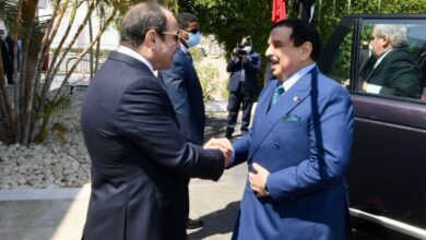 ملك البحرين يشيد بدور مصر المحوري كركيزة أساسية للأمن والاستقرار بالمنطقة