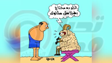"الجو ده محتاج بطيح مش مشاوى"..كاريكاتير تحيا مصر يرصد أجواء عيد الأضحى المبارك