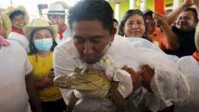 بزعم تقربه من الإله.. عمدة مكسيكي يتزوج من تمساح عمره 7 سنوات