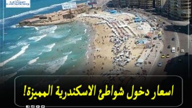 اسعار دخول شواطئ الاسكندرية