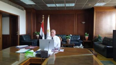 وزير الري: مصر تقود تنظيم «جناح دولي للمياه» بالتعاون مع أكثر من ٣٠ منظمة دولية