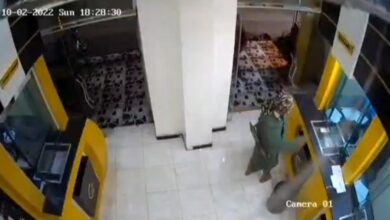 الأخبار المحلية : مسلح يستهدف محل صرافة بقنبلة وسط مدينة تعز