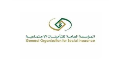 "التأمينات الاجتماعية" توضح بشكل عاجل كيفية استفادة المتقاعدين من برنامج تقدير - مصر مكس