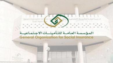 "المؤسسة العامة" توضح كيفية حساب الراتب عبر حاسبة خصم التأمينات الاجتماعية - مصر مكس