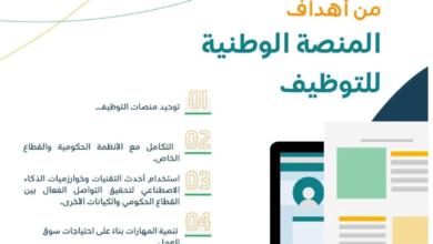 المنصة الوطنية الموحدة للتوظيف تسجيل دخول بديلا عن منصة جدارة - مصر مكس