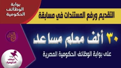 بوابة الوظائف الحكومية تتيح رابط الحصول على نتيجة مسابقة التربية والتعليم - مصر مكس
