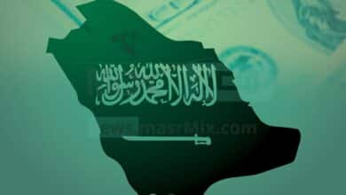 قرار مجلس الوزراء للنظام الصحي بالمملكة العربية السعودية لعام 2022 - مصر مكس