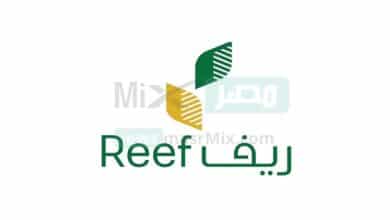 "وزارة البيئة" توضح شروط دعم ريف 1444.. والقطاعات المستهدفة من البرنامج  - مصر مكس