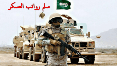 وزارة الدفاع تُعلن عن سلم رواتب العسكر 2022 الجديد للأفراد والضباط - مصر مكس