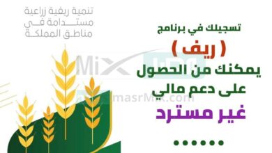 وزارة الزراعة السعودية تعلن عن شروط الدعم الريفي للأسر المنتجة وربات البيوت وتحدد موعد الإيداع - مصر مكس