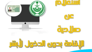 وزارة العمل والتنمية الاجتماعية توضح طريقة الاستعلام عن صلاحية الإقامة بدون دخول ابشر - مصر مكس