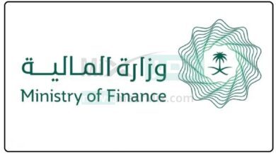 وزارة المالية تكشف عن آلية التسجيل في العوائد السنوية 1444 والفئات المستفيدة - مصر مكس