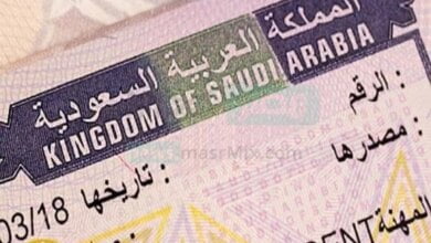 "الجوازات" تكشف طريقة تمديد تأشيرة خروج وعودة قبل انتهائها للسائق - مصر مكس