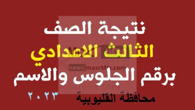 رسميا الآن.. رابط ظهور نتيجة الشهادة الإعدادية محافظة الدقهلية 2023 الترم الأول بالاسم ورقم الجلوس