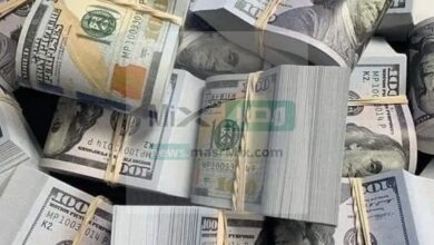 سعر الدولار مقابل الجنية المصري بالبنوك اليوم الخميس 26 يناير 2023 في مصر