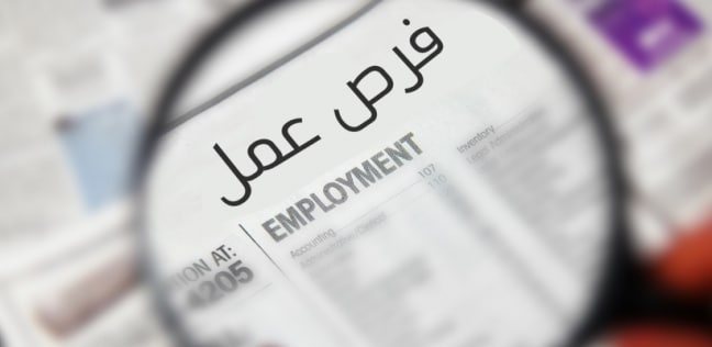 منظومة مايكروسوفت تعلن عن طرح 100 ألف وظيفة في مصر بحلول عام2022