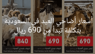 أسعار أضاحي العيد في السعودية تبدأ من 690 ريال سعودي