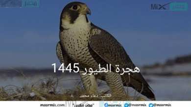 مواعيد هجرة الطيور 1445 في السعودية وتاريخ عودتها إلى الوطن