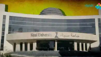 رابط التسجيل في جامعة سيناء فرع القنطرة 2023 وخطوات التقديم