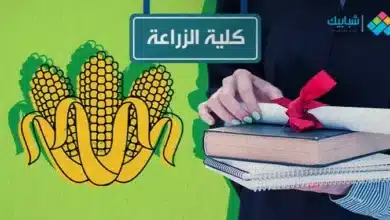 مصاريف قسم بيوتكنولوجي كلية زراعة جامعة القاهرة 2023 2024