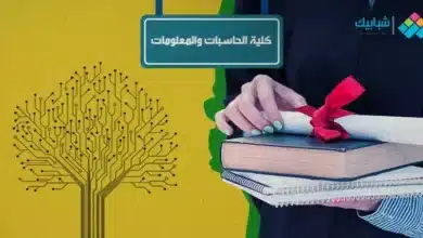 مصاريف كلية حاسبات ومعلومات جامعة عين شمس الحكومية