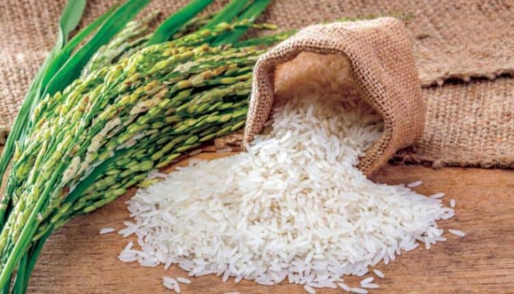 سعر كيلو الأرز اليوم