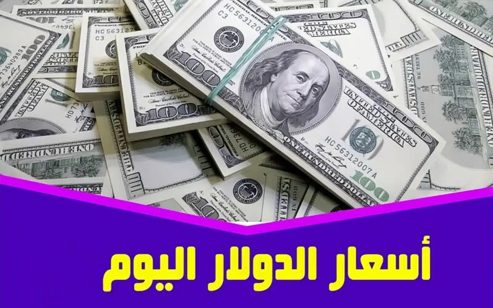 سعر الدولار اليوم مقابل الجنيه المصري اليوم الثلاثاء 19 ديسمبر 2023