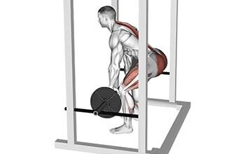 rack pull exercice musculation