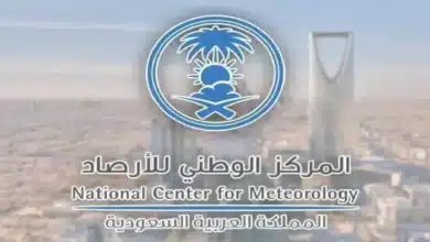 شبورة وضباب كثيف .. مركز الأرصاد الجوية السعودي يطلق تحذيرات لسكان ثلاث مناطق في المملكة